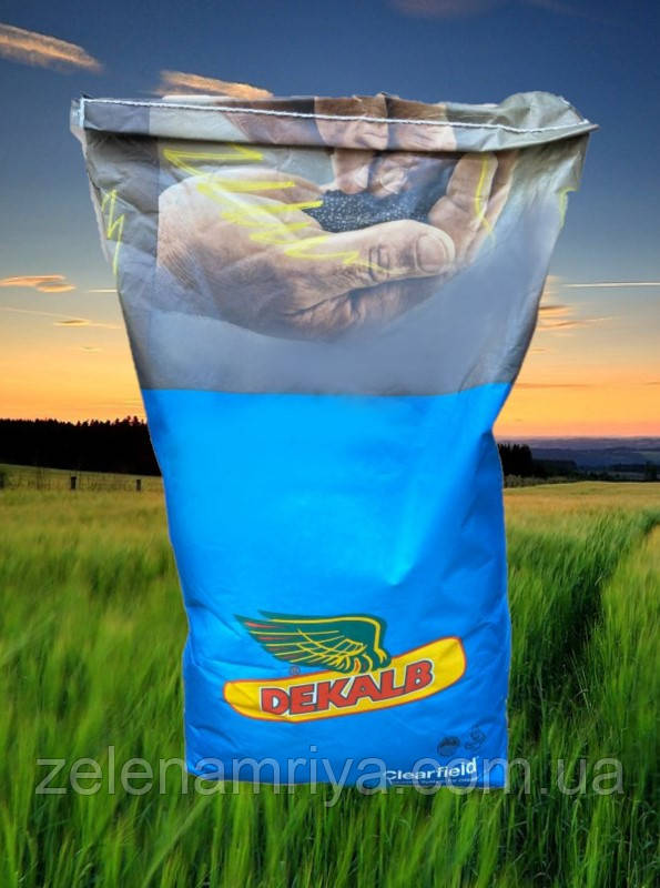 Насіння озимного ріпаку ДК СЕФОР (DEKALB)