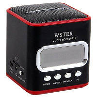 Радіоприймач - колонка WSTER WS-215
