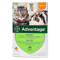 Капли Advantage Bayer от блох для кошек, котят и декоративных кроликов до 4 кг цена 1 пипетки