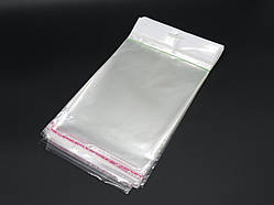 Поліпропіленові пакети з європідвісом. 21х16см+клапан А5. 25мкр. 100шт/уп. / Поліпропіленові пакети з європідвісом. 21х16см+клапан