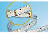 Светодиодная лента, 2200Lm/m  SMD2835 (96LED/m), White (6320-6840K) Indoor IP33, DC 24V(28.8W), фото 2