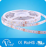 Белая  6,0W SMD3528 (60 LED/м) (w) 7120-7550K Outdoor IP65 Rishang Premium, фото 3