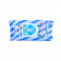 Влажные салфетки с алоэ вера SOFT99 Car Tissue Wet