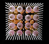 Стельова квадратна люстра L845/9 (FGD), фото 3