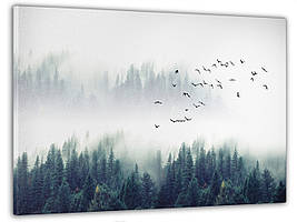Картина на полотні на стіну для інтер`єру/спальні/прихожої DK Птахи над туманним лісом 60x100 см (MK10210_M)