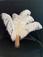 Перо страуса 70-75см (белый)