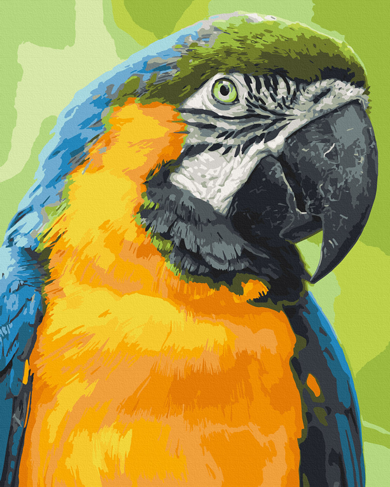 Картина по номерам папуга 40 х 50 см Art Craft 11643-AC папуга ара птахи melmil, фото 1