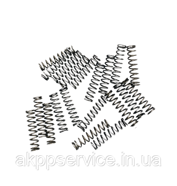 Комплект поворотних пружин поршня зчеплення REVERSE 20 шт. АКПП 722.4 Mercedes (Б.У.), фото 1