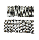 Комплект поворотних пружин поршня зчеплення REVERSE 20 шт. АКПП 722.4 Mercedes (Б.У.), фото 2