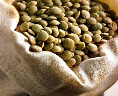 Сочевиця зелена, фото 1