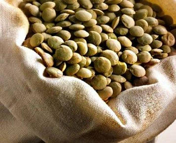 Сочевиця зелена