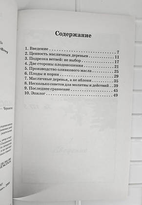 Діти й олійні дерева. Аллегра МакБирни (рос.), фото 3