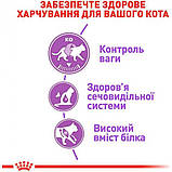 Сухий корм для дорослих стерилізованих котів Royal Canin Sterilised 10 кг, фото 6