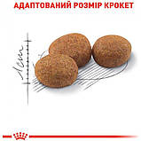 Сухий корм для дорослих стерилізованих котів Royal Canin Sterilised 10 кг, фото 3