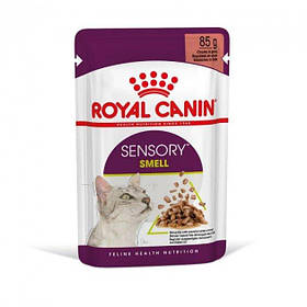 Паучі Royal Canin Sensory Smell Chunks in gravy 0.085 кг (FHN Sensory feel Gravy)