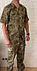 Тактическая военная форма (армейская тактическая тенниска + военные тактические брюки) камуфляж оливия - фото 4 - id-p1634642062