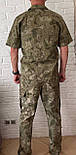 Тактическая военная форма (армейская тактическая тенниска + военные тактические брюки) камуфляж оливия, фото 3