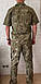 Тактическая военная форма (армейская тактическая тенниска + военные тактические брюки) камуфляж оливия - фото 3 - id-p1634642062