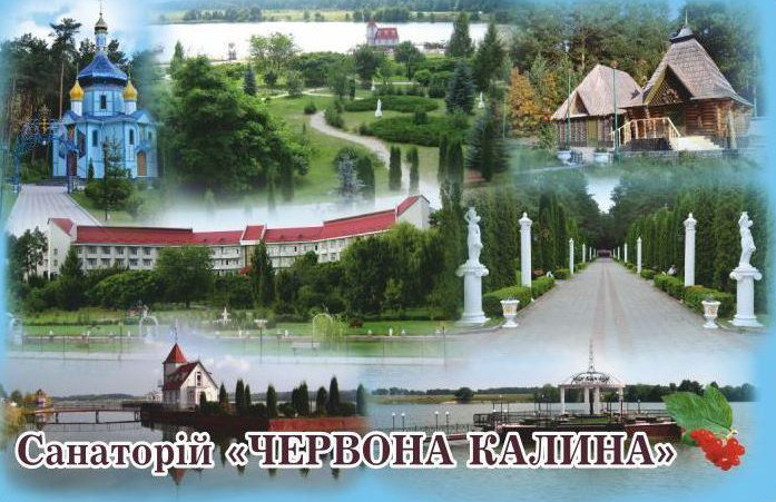 Магніт (синій) "Санаторій "Червона калина" 55х90 мм