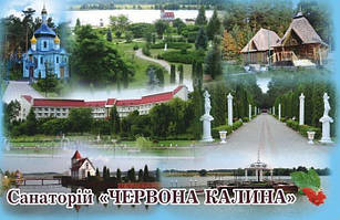 Магніт (синій) "Санаторій "Червона калина" 55х90 мм