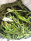 Конвалія листя, 1 кг, фото 5