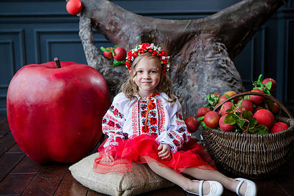 Вишитий костюм для дівчинки Магія блузка та спідниця червоний