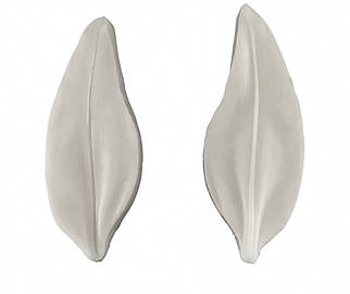 Вайнер Пелюстка лілії 5