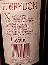 Вино 1990 року Rosso Rubino Італія вінтаж, фото 2