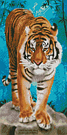Алмазна картина за номерами Тигр на камені 50х25 см BA-0001 (Strateg)
