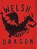 Реглан для хлопчика червоний Dragon George  80/86, 86/92, 92/98, 98/104см, фото 2