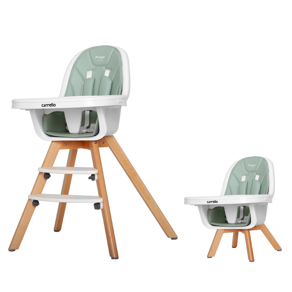 Дитячий стільчик для годування CARRELLO Prego CRL-9504/1 Ash Green Зелений