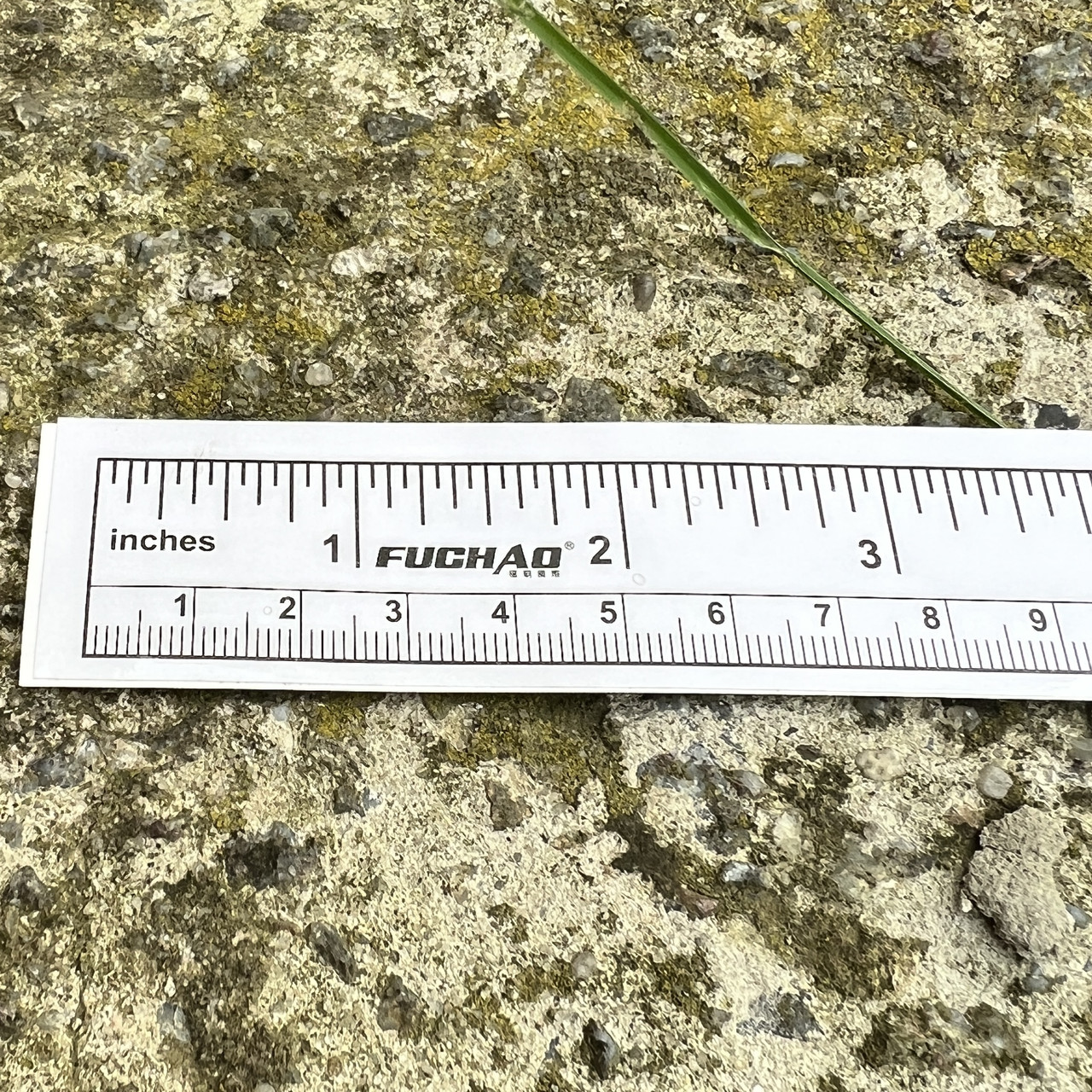 Купити Лінійка - наклейка 100 см для стола швейної машини, ціна 65 ...