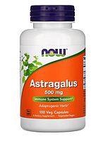 Астрагал от NOW Foods, Astragalus, 500 мг, 100 капсул