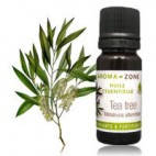 Ефірна олія Чайне дерево  ( Tea Tree ) (Melaleuca alternifolia) , 250 мл