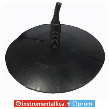 Гриб гігант ніжка 15 мм капелюшок 175 мм Україна