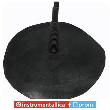 Гриб гігант із кордом ніжка 15 мм головка 175 мм Україна