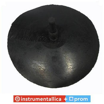 Гриб середній із кордом ніжка 15 мм головка 135 мм Україна