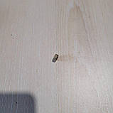 Гайка М6 шестигранна, фото 3