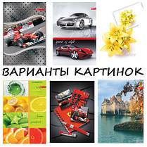 Зошит А4 176 к. обкладинка кольорова ламінована, блок офсет імпортний 60г/м2, клітинка, тверда обкладинка, фото 2