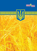Зошит А5 64л. обкладинка кольорова ламінована, блок офсет український, клітинка, тверда обкладинка, ТМ Ск, фото 2