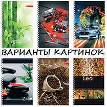 Зошит А5, 100 л. обкладинка колір, крейдований картон "аляска", уф лак, офсет імпортний, клітина, пружина, фото 3