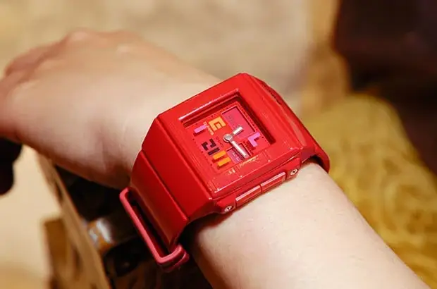 3842857112_w700_h500_chasy-