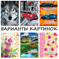 Український щоденник «Супер» В5 48арк., 4+4, мікс, фото 2