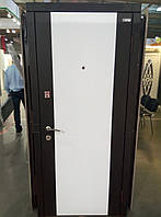 Двері вхідні Модель "Трек" (комбінований малюнок)