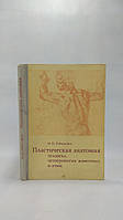 Рабинович М. Пластическая анатомия человека, четвероногих животных и птиц и ее применение в рисунке (б/у).