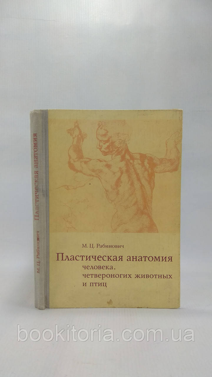 Рабинович М. Пластическая анатомия человека, четвероногих животных и птиц и ее применение в рисунке (б/у). - фото 1 - id-p1635819911