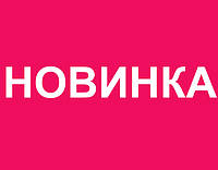 Саджанці гумі і кизилу вже на складі !