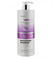 Шампунь для випрямлення волосся Erayba Bio Smooth Smoothing Shampoo BS12, 1000 мл