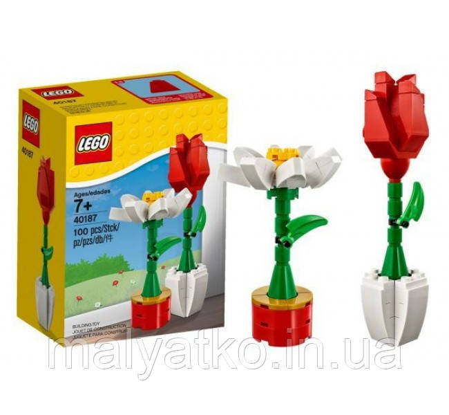 Lego Iconic Квіти 40187