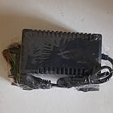 Зарядний пристрій 1.2 А для електричних обприскувачів, фото 4